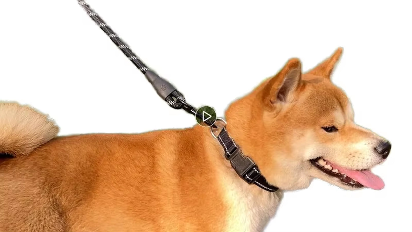 Joysing 5FT Soft Padded Handle Dog Leash Hot Sale Heavy Duty Reflective Braided Nylon Rope Print Ribbon Variety Color Dog