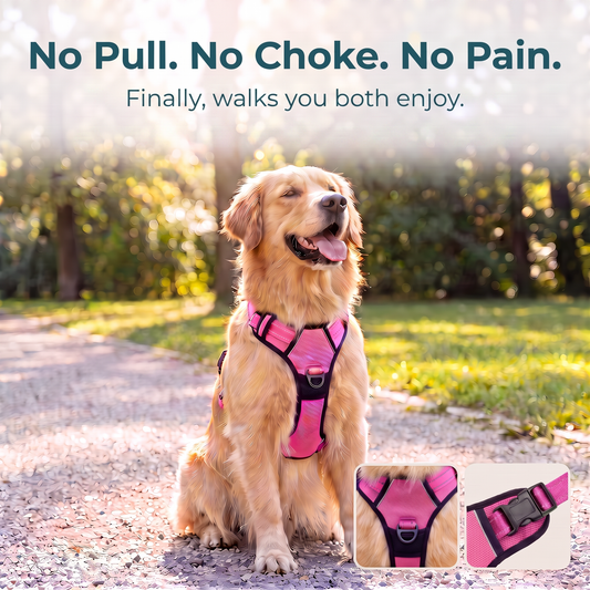 PullNoMore™ - Dog Comfort Control No-Pull Harness Set 2.0